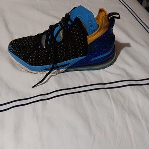 LeBron James Shoes